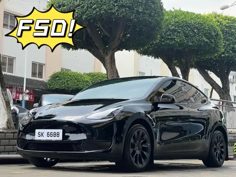 Tesla Model Y, 2022