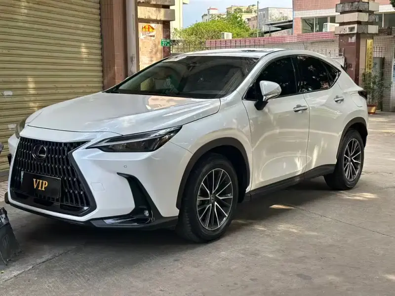 Lexus NX New Energy, 2024 — фото 1