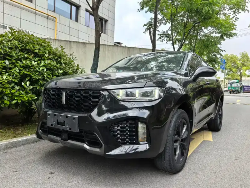 Wey VV5, 2018