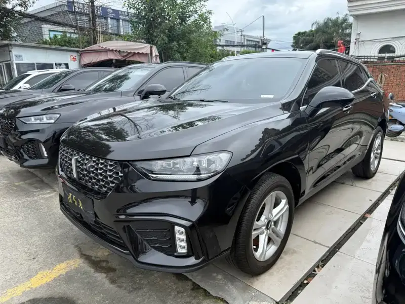 Wey VV5, 2020