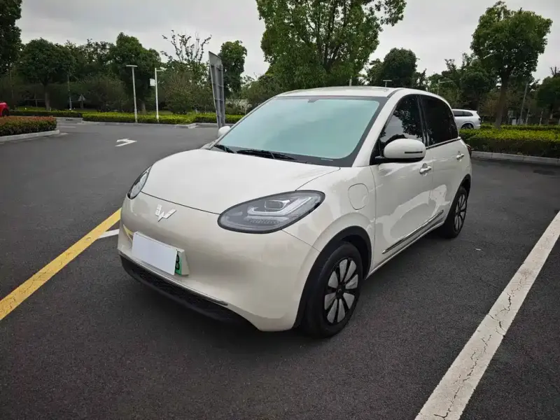 Wuling Bingo, 2024