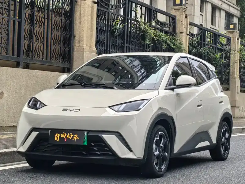 BYD Seagull, 2024