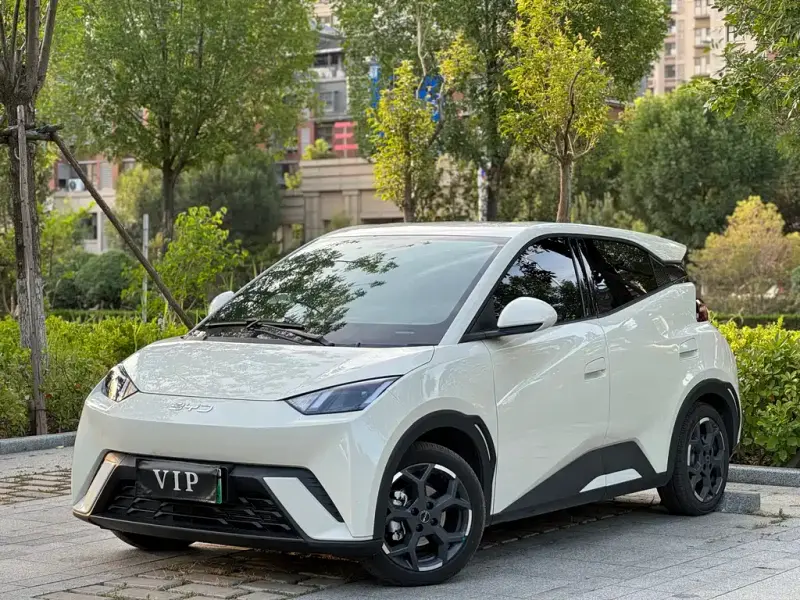 BYD Seagull, 2025