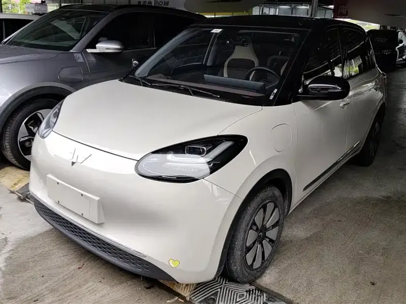 Wuling Bingo, 2024