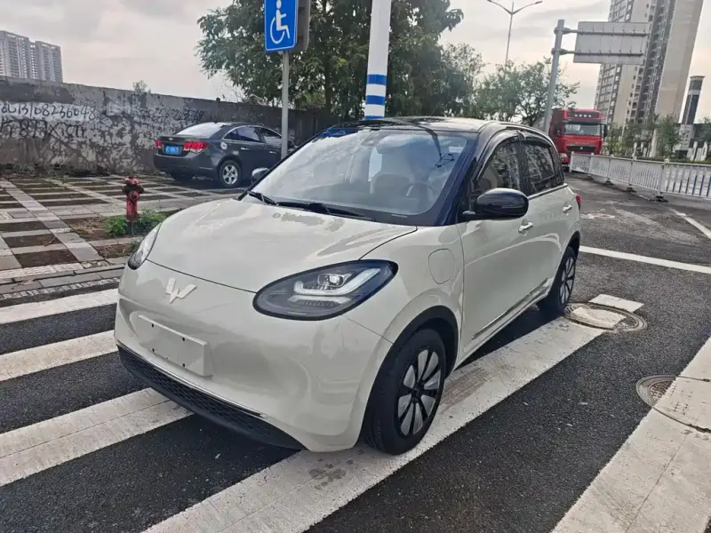 Wuling Bingo, 2025