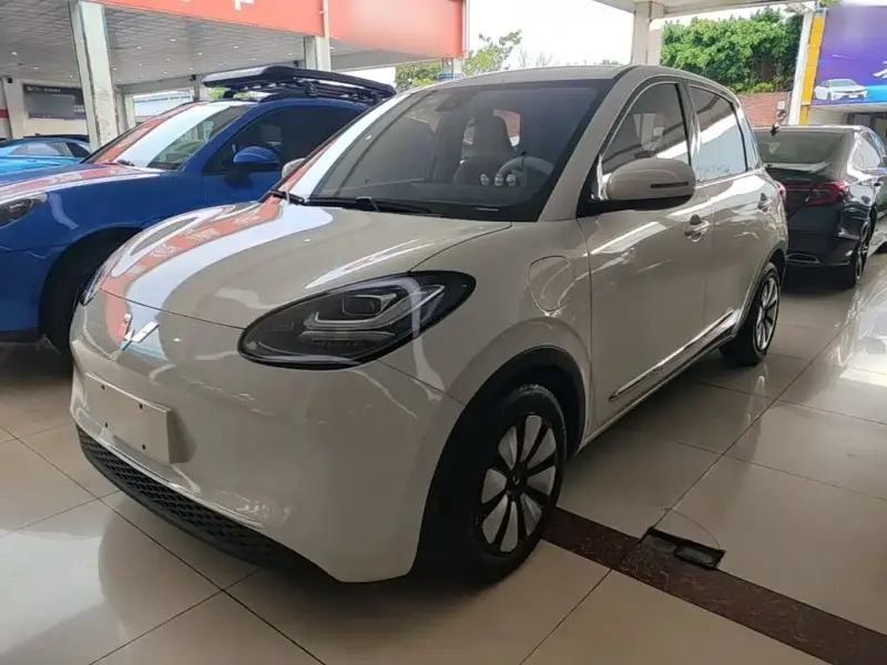 Wuling Bingo, 2023