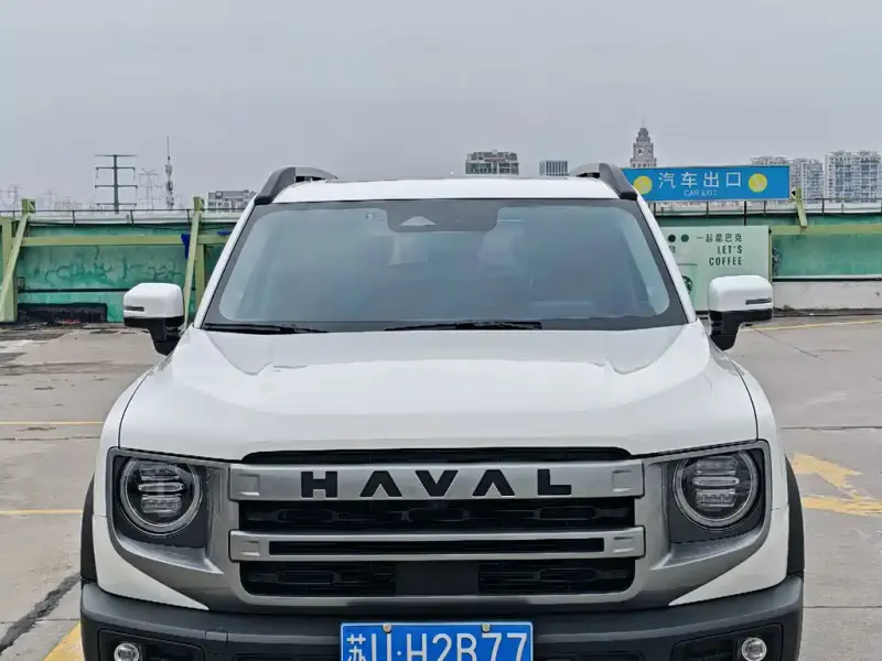 Haval Big Dog, 2024 — фото 1