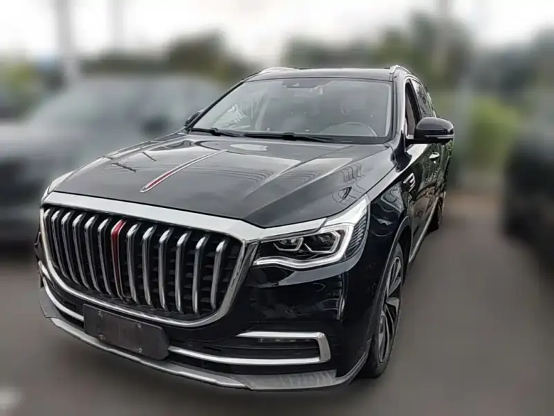 Hongqi HS7, 2020