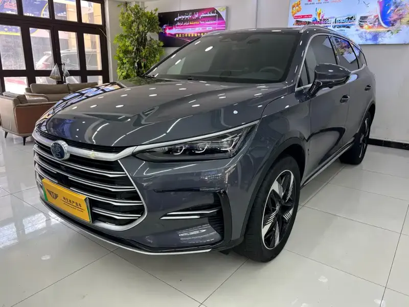 BYD Tang New Energy, 2024