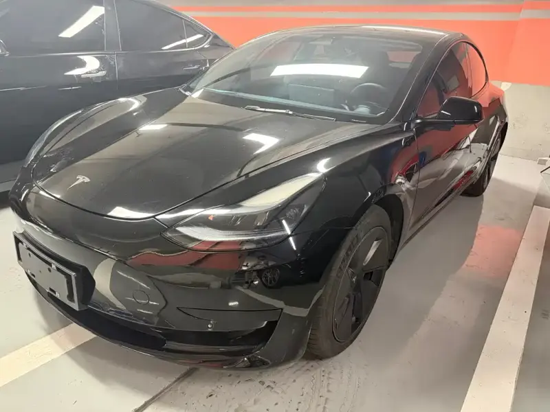 Tesla Model 3, 2021