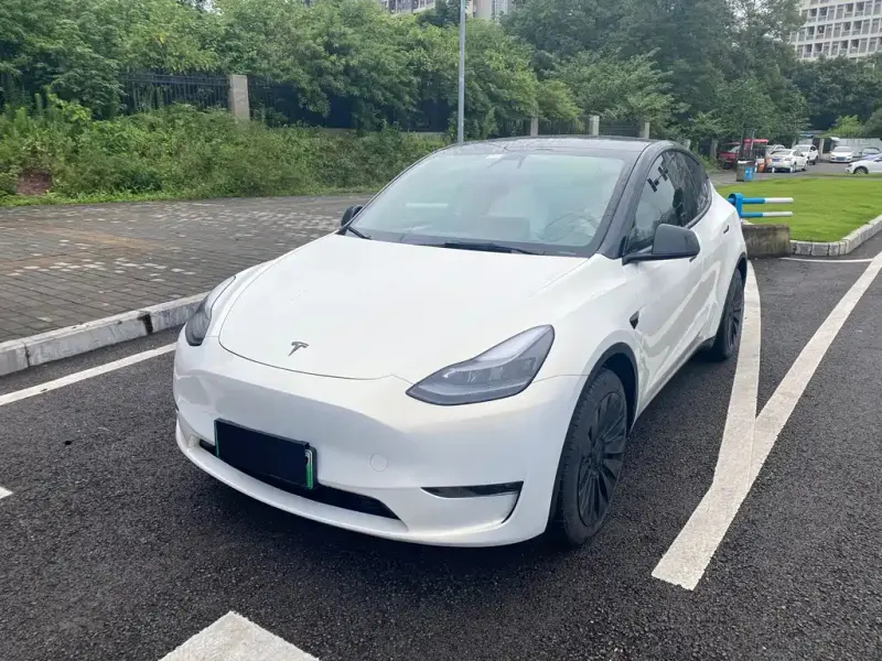 Tesla Model Y, 2021