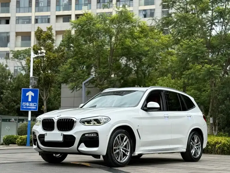 BMW X3, 2019 — фото 1