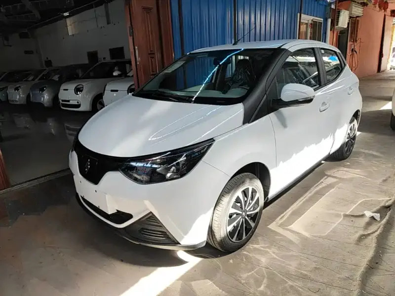 JMEV EV2, 2026