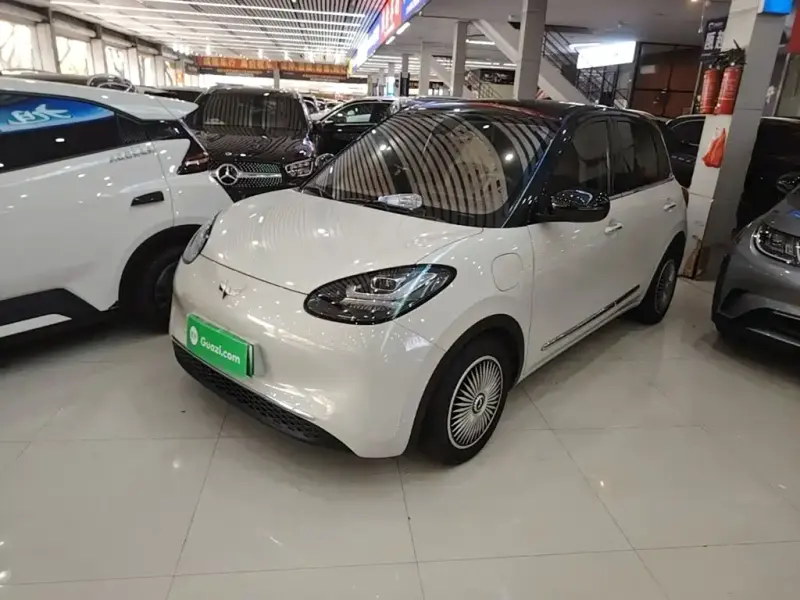 Wuling Bingo, 2024