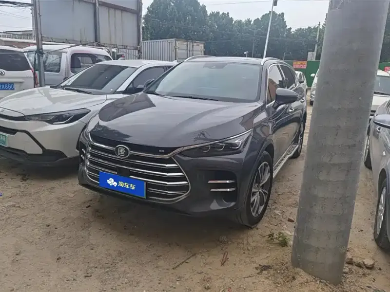 BYD Tang New Energy, 2020