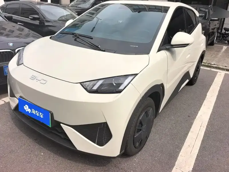 BYD Seagull, 2025