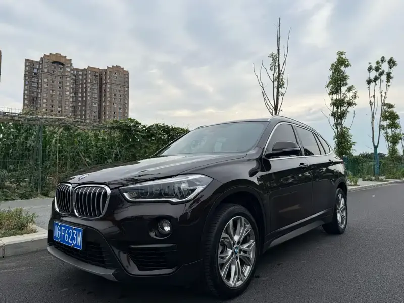 BMW X1, 2019 — фото 1
