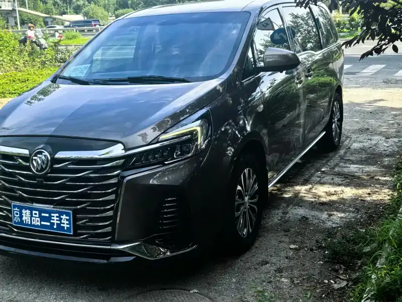 Buick GL8, 2023