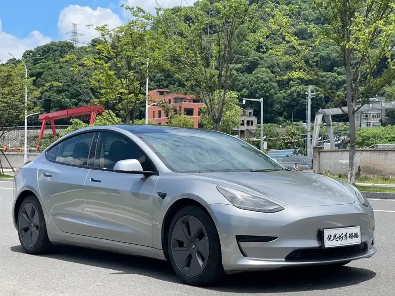 Tesla Model 3, 2021