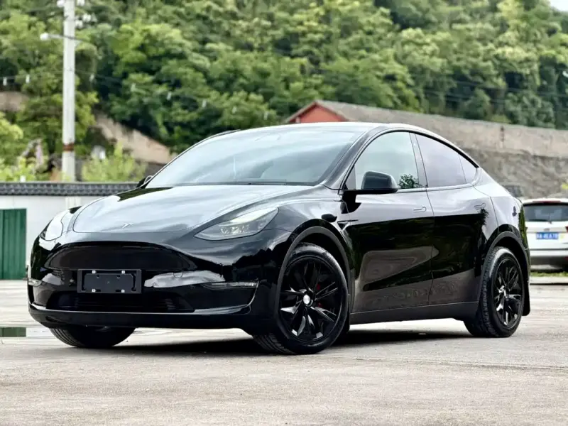 Tesla Model Y, 2021