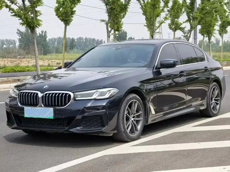 BMW 5 Series, 2020