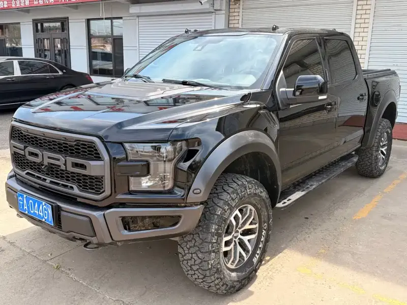 Ford F-150 Raptor, 2018 — фото 1