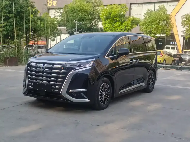 Denza D9, 2025