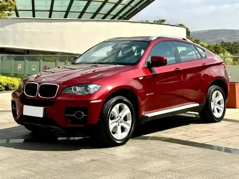 BMW X6, 2010
