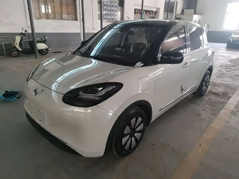 Wuling Bingo, 2023