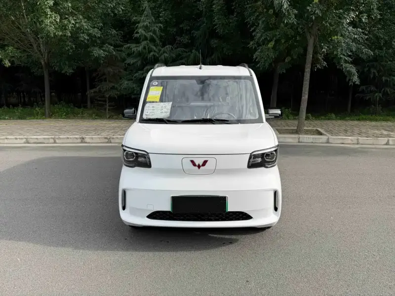 Wuling Zhiguang EV, 2026