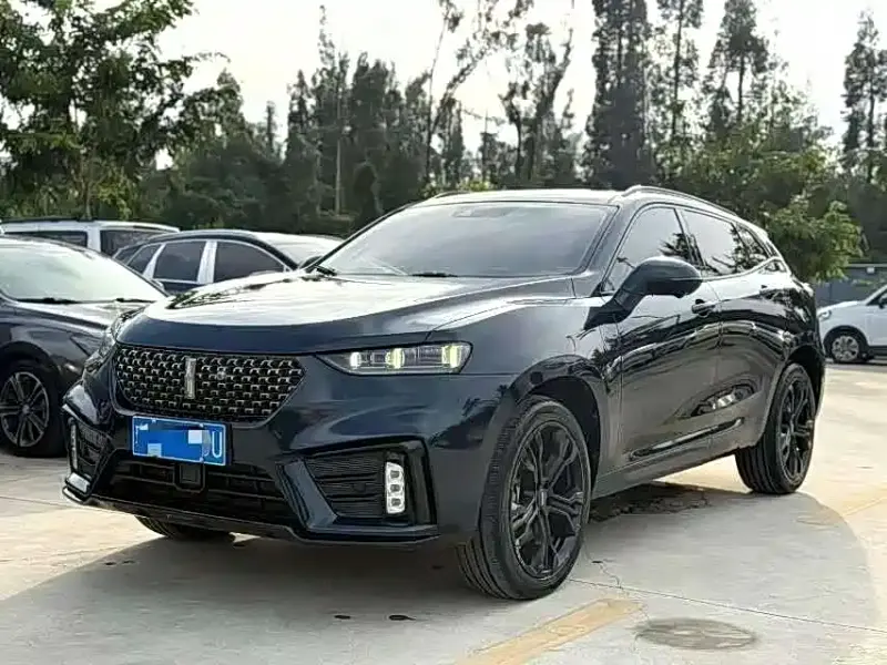 Wey VV7, 2020