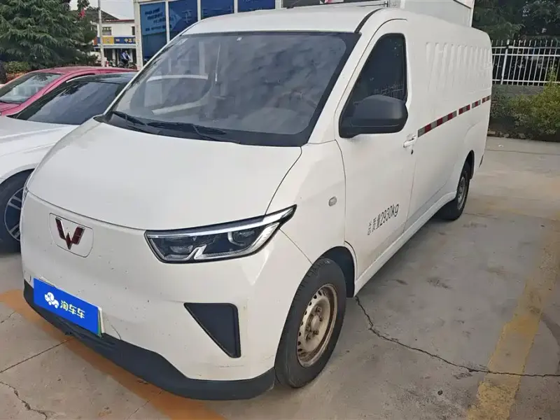 Wuling Yangguang, 2024