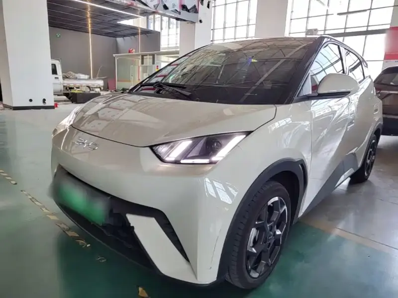 BYD Seagull, 2024