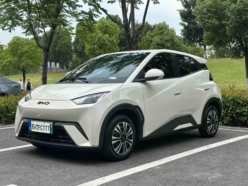 BYD Seagull, 2024