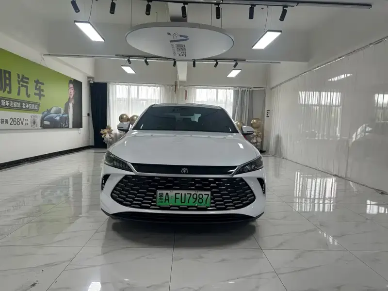 BYD Qin PLUS, 2025