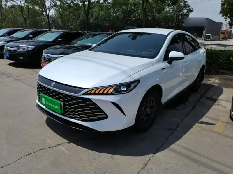 BYD Qin PLUS, 2025