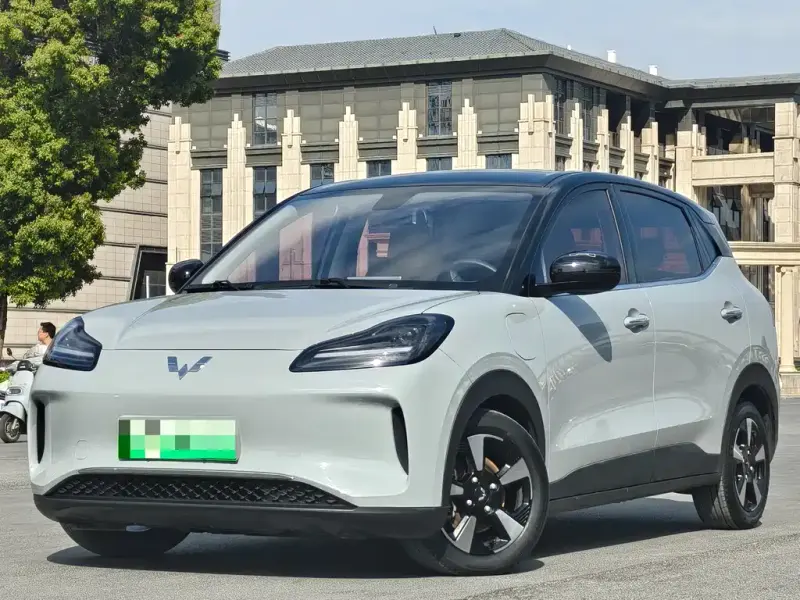Wuling Bingo PLUS, 2024