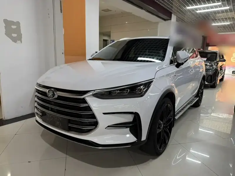 BYD Tang New Energy, 2021