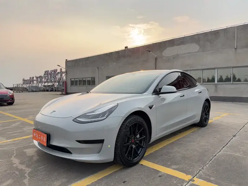 Tesla Model 3, 2019