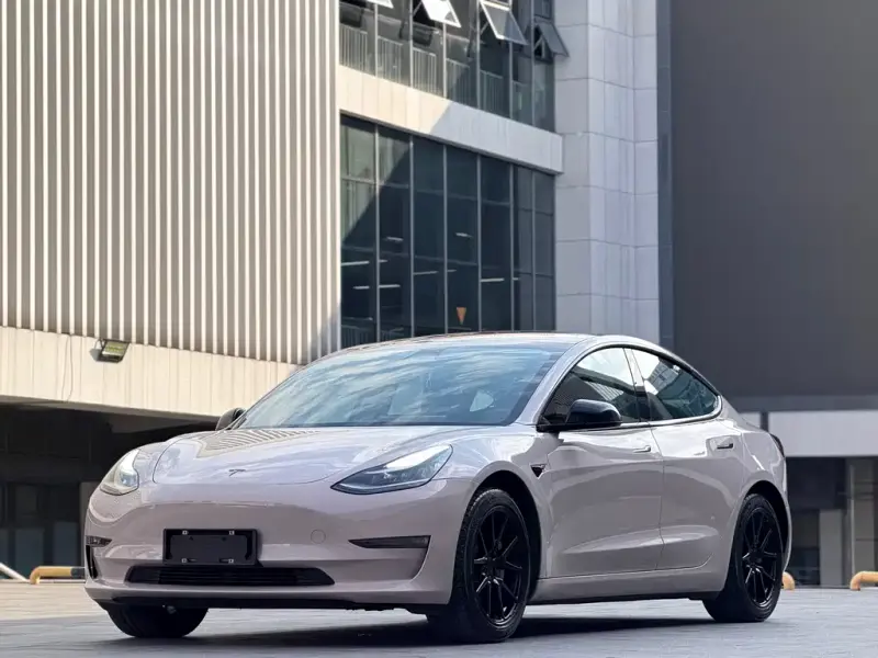 Tesla Model 3, 2019