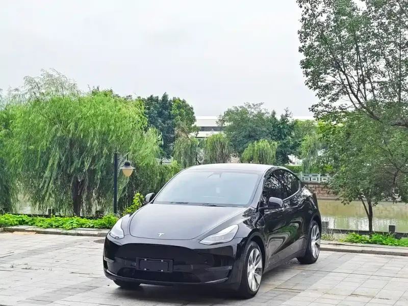 Tesla Model Y, 2021