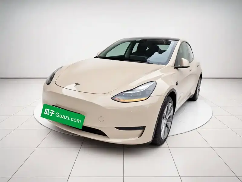Tesla Model Y, 2021