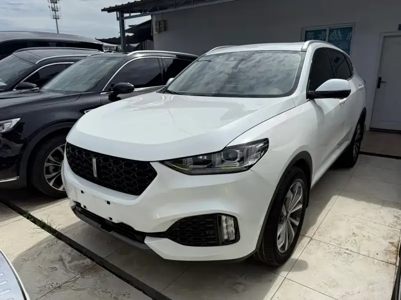 Wey VV6, 2019