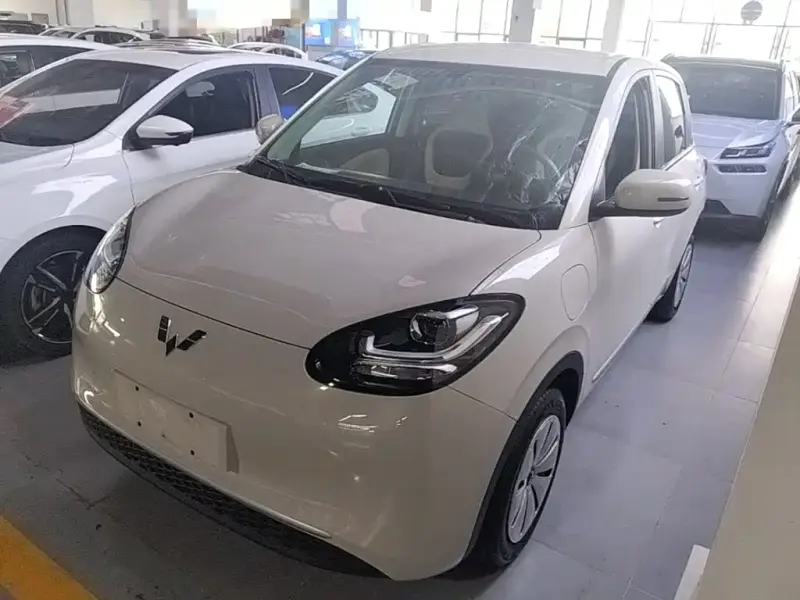 Wuling Bingo, 2024