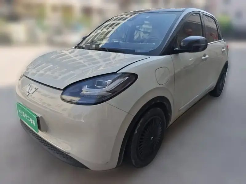 Wuling Bingo, 2023