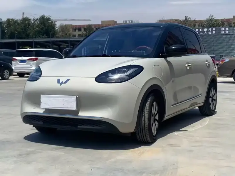 Wuling Bingo, 2024