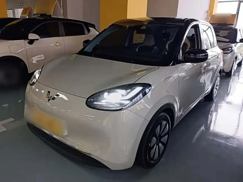 Wuling Bingo, 2024