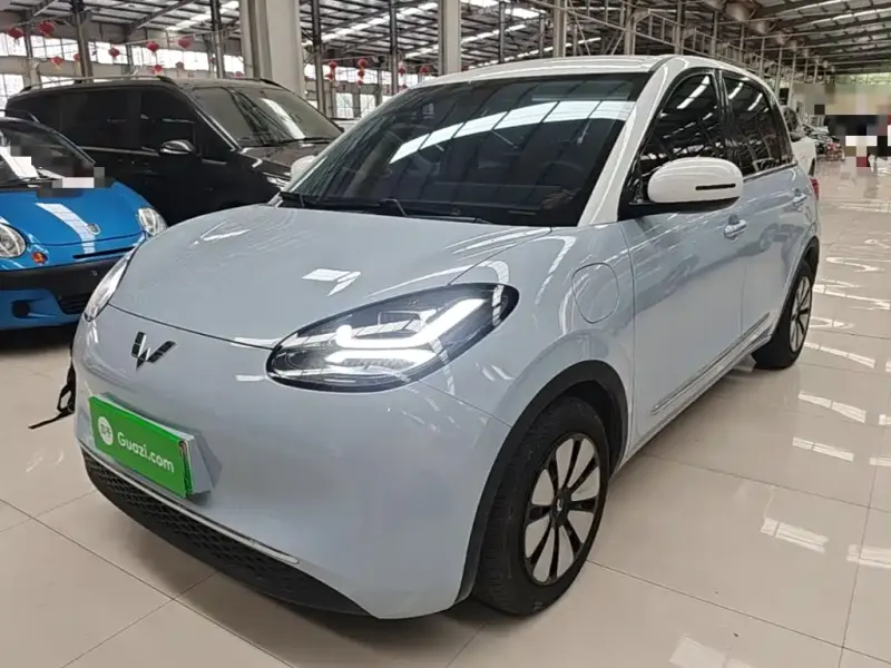 Wuling Bingo, 2024