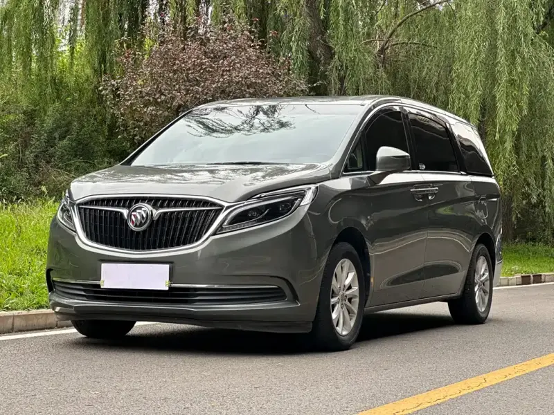Buick GL8, 2019