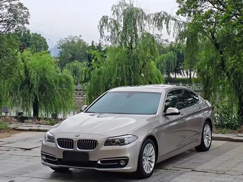 BMW 5 Series, 2017